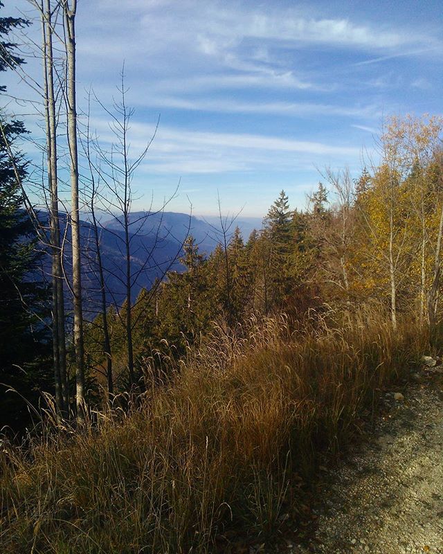 Petite sortie dans le #massifchartreuse pour profiter de l'automne avant la neige. Tour du Mont Outheran depuis les Chantres, Saint Cassin. 18,58 km, 2:36:00, D+ 942m #mountains #montagnes #mountainlife #automne2017 #autumn