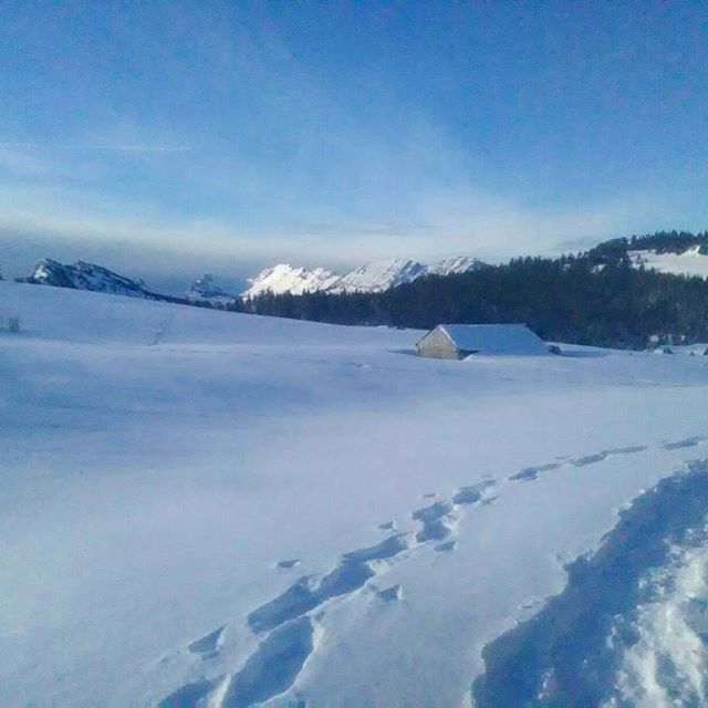 Je ne m'en lasse pas. Petite sortie Ã  la Croix de l'Alpe en Chartreuse. Beau temps. Belle neige. #montagnes #massifchartreuse #mountains #mountainlife #snow #neige